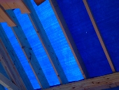 c0223331_175071.jpg