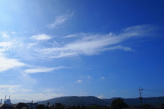 a0146442_8563682.jpg