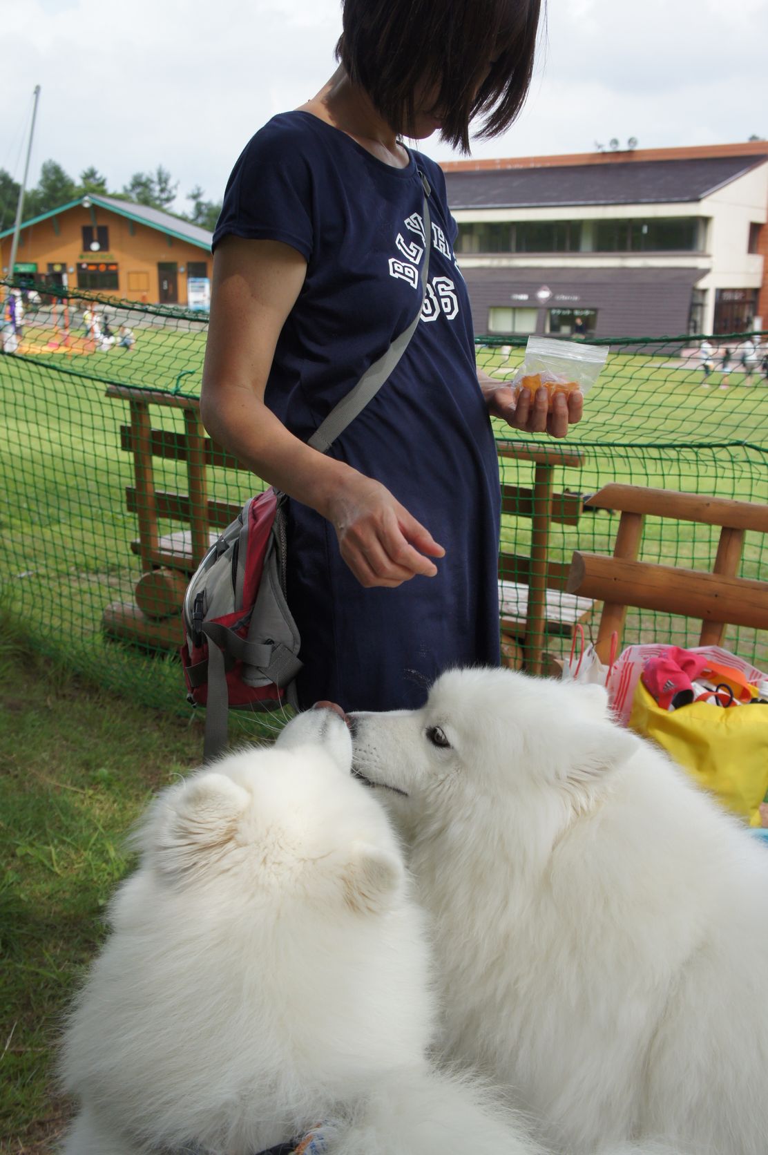 ２０１４年　草津～奥飛騨旅行　その１_f0128542_0201393.jpg