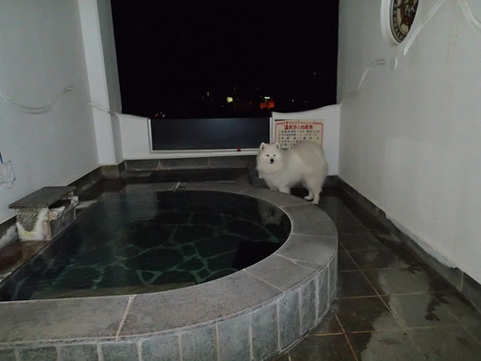 2014年 草津~奥飛騨旅行 その2_f0128542_1031143.jpg