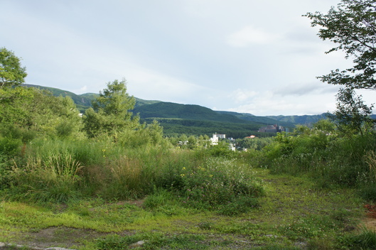 2014年 草津~奥飛騨旅行 その2_f0128542_109205.jpg