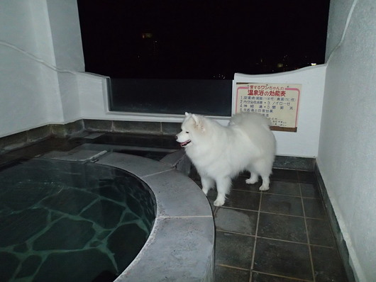 2014年 草津~奥飛騨旅行 その2_f0128542_9574434.jpg
