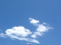 b0291051_16163821.jpg