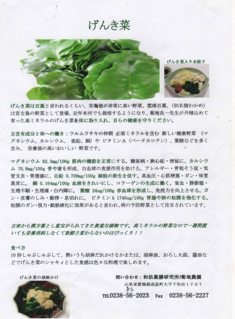 元気菜知ってますか?_e0074955_13312683.jpg