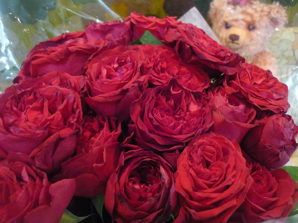 お誕生日の次の朝大輪の真紅の薔薇が二十三本。。。。｡･:*:･ﾟ*♬✝_a0053662_0592028.jpg