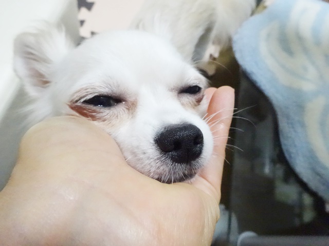 f0207979_2234450.jpg