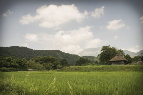 日本の原風景・・・夏_a0143786_21584278.jpg