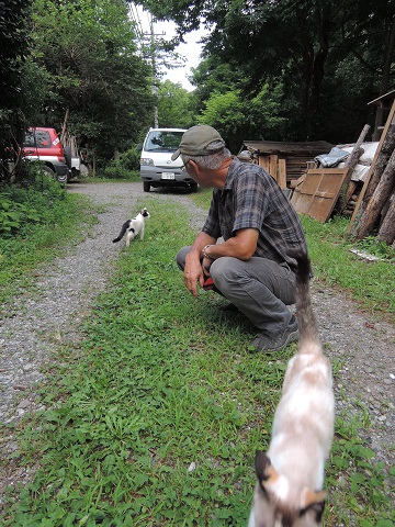 石塚木工さん^^_a0211886_10475797.jpg