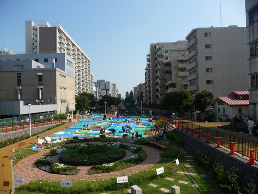 日本での日々　～青春のメンバーとの再会、そして浅草を目指す～_a0130093_21121687.jpg