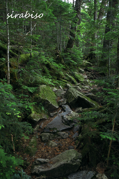 e0142993_1057584.jpg