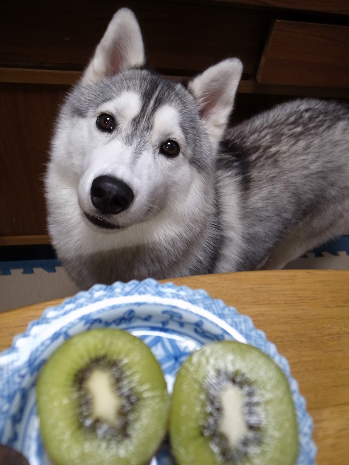 くだもの日和(びより) (^o^)_c0049299_20215962.jpg