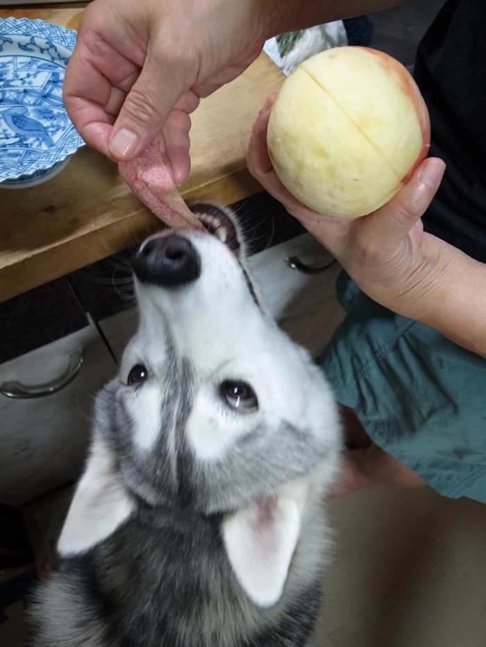 くだもの日和(びより) (^o^)_c0049299_20222157.jpg