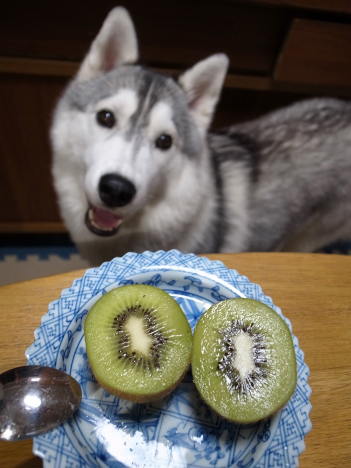 くだもの日和(びより) (^o^)_c0049299_2022546.jpg