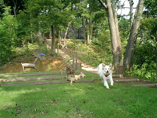 a0032004_0165539.jpg