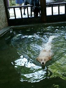 a0032004_08763.jpg