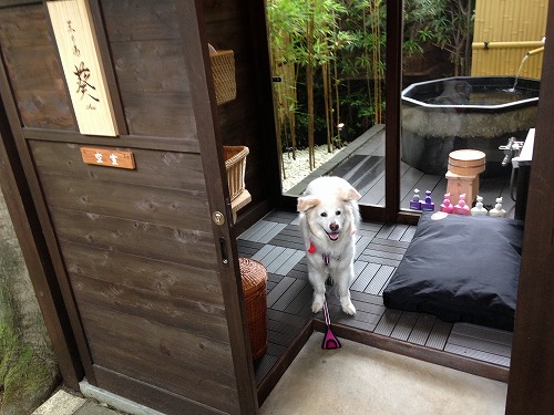 お宿: ウブドの森 (伊豆) - 「 バリ風洋室 ダブルベッド の部屋 」編_a0032004_1465715.jpg