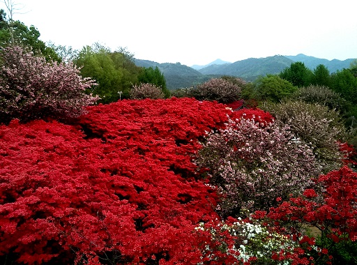 a0140305_29095.jpg