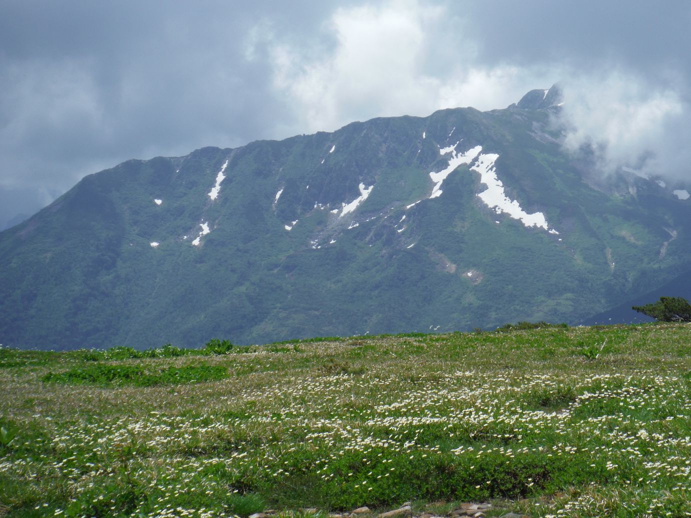 b0172805_22644.jpg