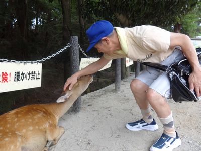 8/6 奈良公園へ外出(^◇^)_a0154110_10441259.jpg