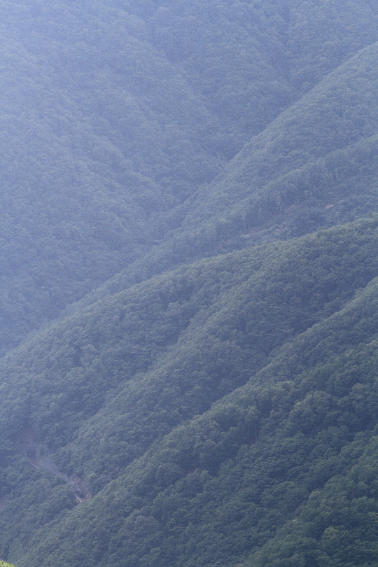 薄煙を纏って深山を駆ける - 2014年盛夏・釜石 - _b0190710_22464458.jpg