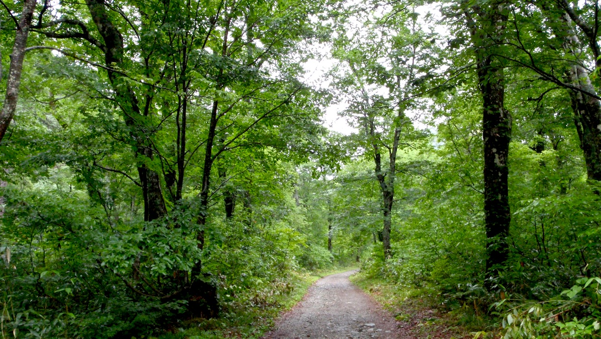 c0078410_874196.jpg