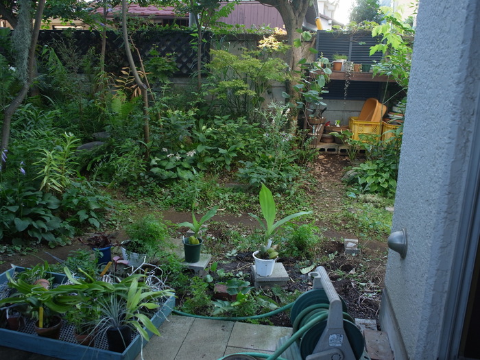 e0276411_9102728.jpg