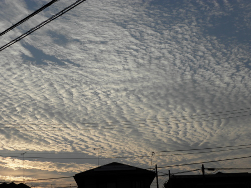 b0342516_12565643.jpg