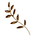 e0157816_11194055.gif