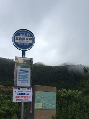 f0147821_2339246.jpg