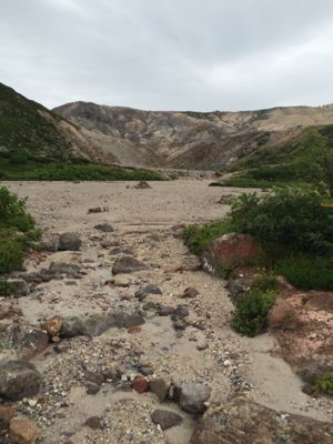 f0147821_23502483.jpg