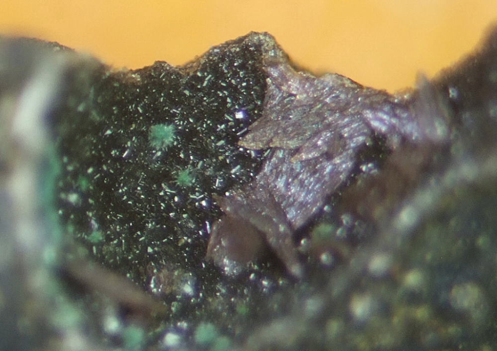 d0045626_23465596.jpg