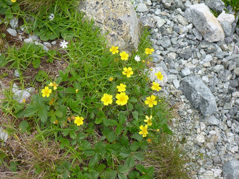 e0284726_242480.jpg