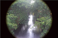 b0267227_2332645.jpg