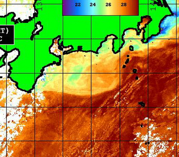 各地の潮は?【カジキ・マグロトローリング】_f0009039_12031531.jpg