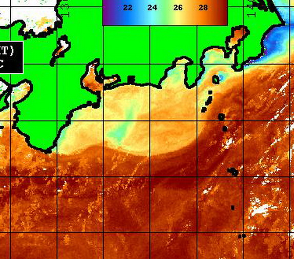 各地の潮は?【カジキ・マグロトローリング】_f0009039_12031876.jpg