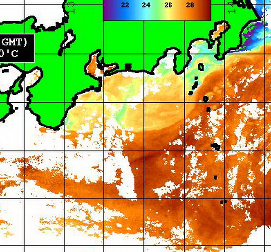 各地の潮は?【カジキ・マグロトローリング】_f0009039_12162418.jpg