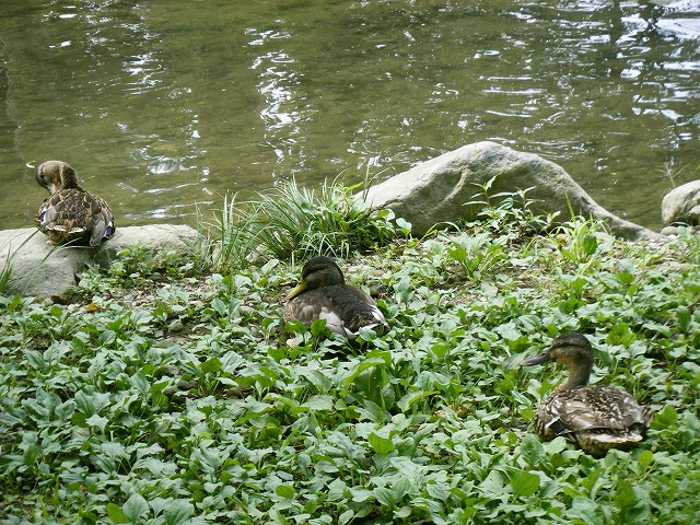 誰もいない公園_e0146841_22592943.jpg