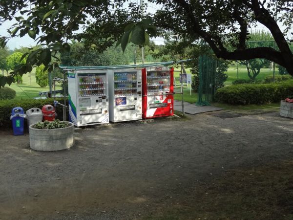 嬉しかった再会♪ が、しかし…その6。_b0136045_20424577.jpg