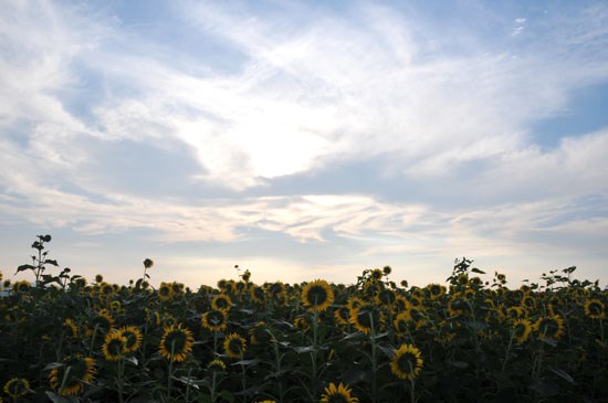 c0093046_11553379.jpg