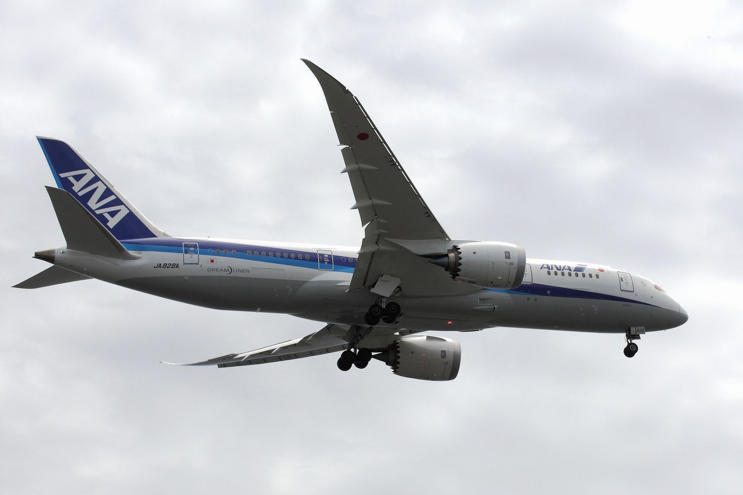 新型機７８７－９_b0184848_9504239.jpg