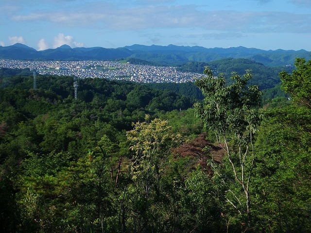 d0048350_20424550.jpg
