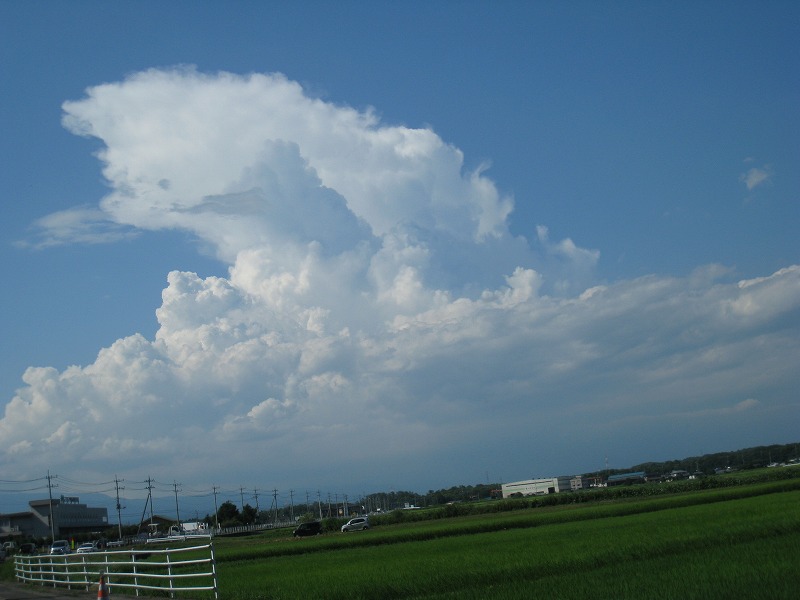 f0154751_22184855.jpg