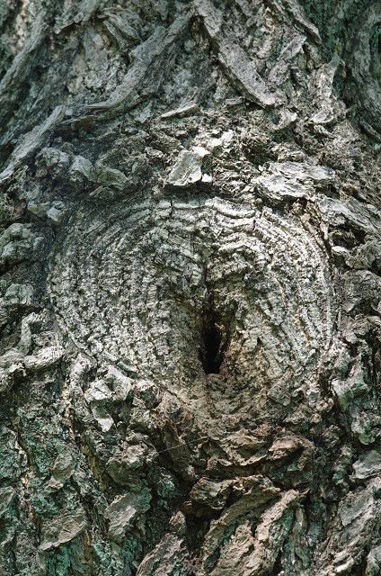 c0080357_17513427.jpg