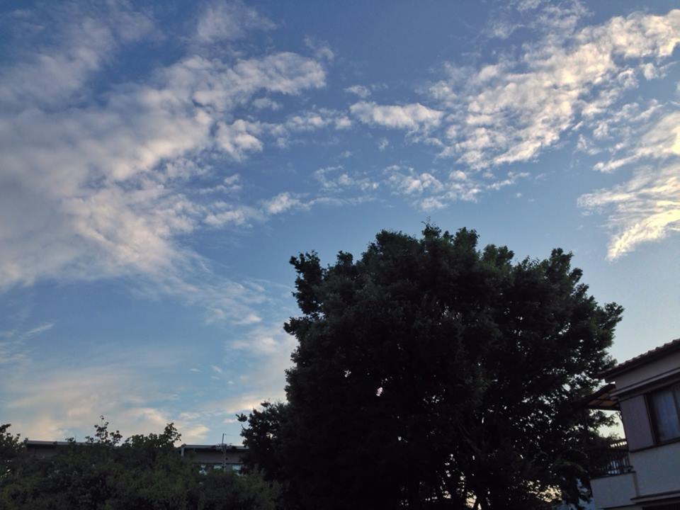 e0142357_1458211.jpg