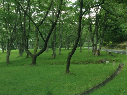 b0332960_20395327.jpg