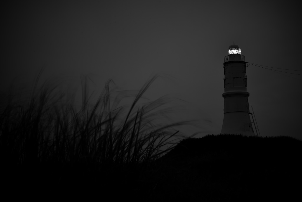 e0293862_512243.jpg