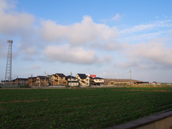 b0194267_1695511.jpg