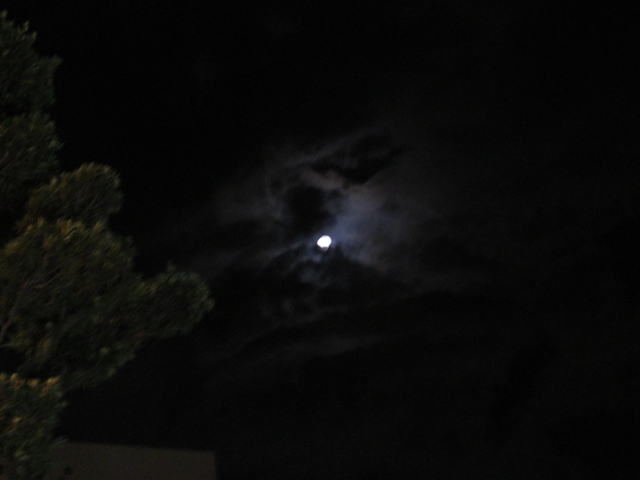 b0164670_22364738.jpg