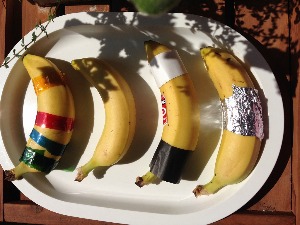 すずの自由研究 ひすなずた