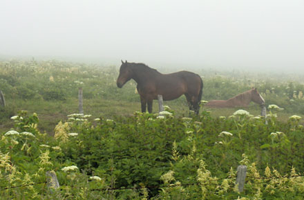 f0083977_13395019.jpg